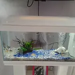 Гостевой дом House