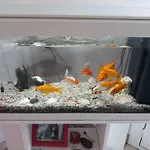Гостевой дом House Милан